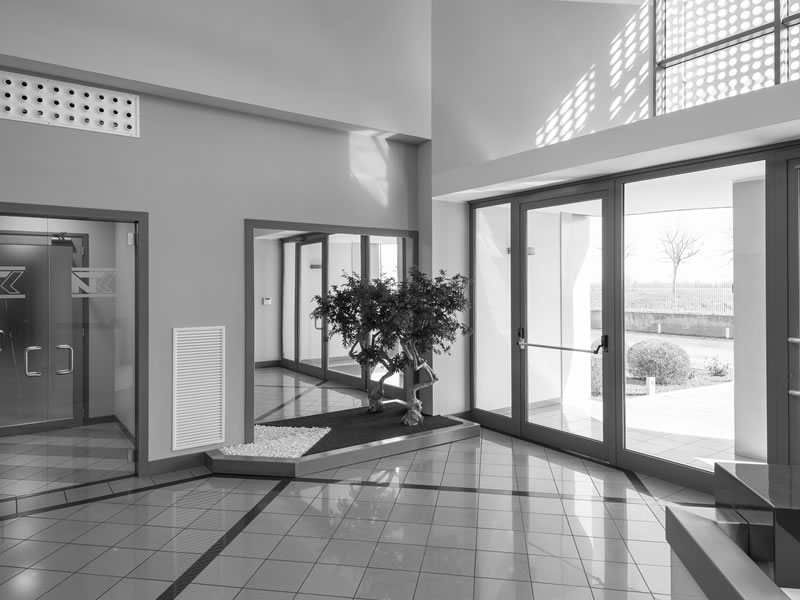 foto in bianco e nero ingresso di uffici con grande bonsai all'angolo